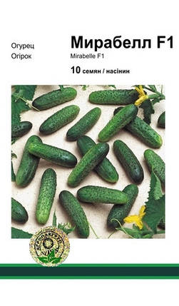 Мірабелла F1 насіння огірка, 10 насіння — огірок партенокарпічний, Seminis, фото 1