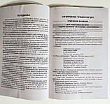 НОВА УКРАЇНСЬКА ШКОЛА: ПОРАДНИК ДЛЯ ВЧИТЕЛЯ, фото 5