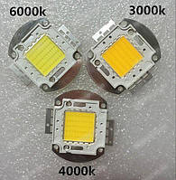 COB LED 20-100W