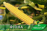 Фіона 100тис нас на 1,8га, рання цукрова кукурудза Мнагор, ранньостиглий (69-71 днів), фото 2