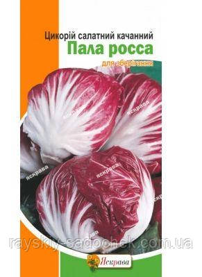 Насіння цикорію кочаного Пала Росса 1 г