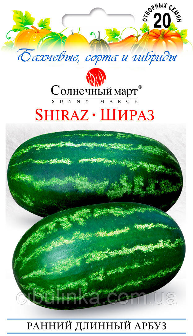Насіння Кавун Шираз,Сонячний Березень 20 шт