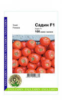 Семена томата Садин F1, 100 сем ранний (62-65 дня), красный, детерминантный, круглый, Enza Zaden