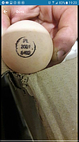 Яйцо инкубационное Росс 708 Польша