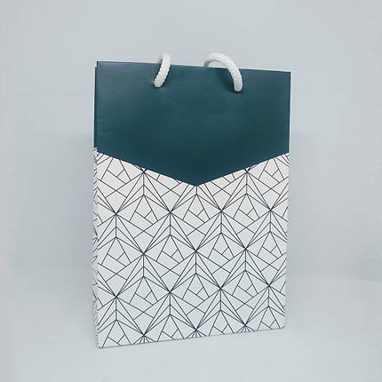 Пакет подарунковий 20.5х15х7.5 см Enjoy, фото 1