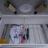 Домашній інкубатор для яєць Наседка 100 яєць з механічним переворотом пластик Інкубатор побутовий посилений, фото 5