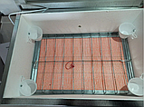 Домашній інкубатор для яєць Наседка 100 яєць з механічним переворотом пластик Інкубатор побутовий посилений, фото 7
