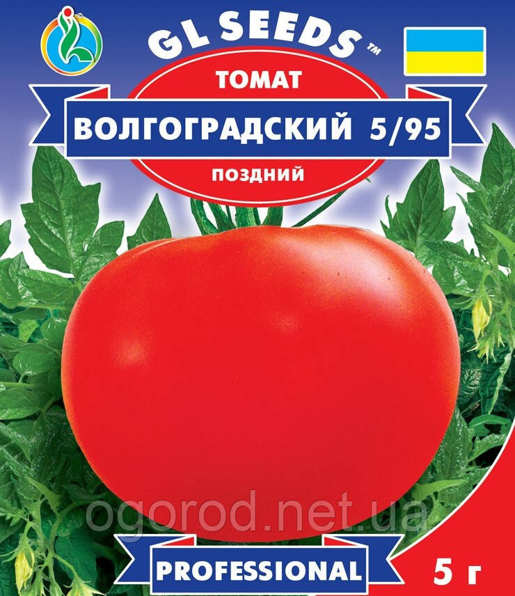 Волгоградський 5/95 (пізній) насіння томату GL Seeds 3 грами