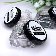 Пігмент для макіяжу Shine Cosmetics No4, фото 3