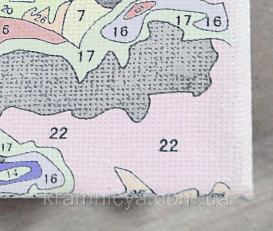 Картина по номерам Девушка с цветущими мыслями (Эми Джадд), 40х50 Brushme Premium (PGX36769) - фото 2 - id-p1324596233