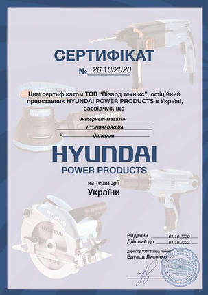 Генератор дизельний Hyundai DHY 8000SE, фото 2