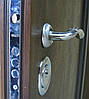 Вхідні двері Преміум+215 полотно 80 мм, фото 2