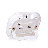 Цифровий термогігрометр CX-203 (-50... +70 °C; 10-99%), фото 4