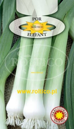 Насіння цибулі порей Elefant/Елефант 1г ТМ ROLTICO, фото 1