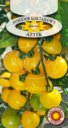 Насіння томату Азтек 0,3г ТM ROLTICO, фото 1