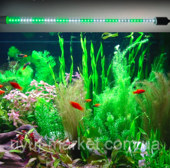 Фитолампа для аквариума 60см 9Вт Т8 для выращивания морских водорослей ...