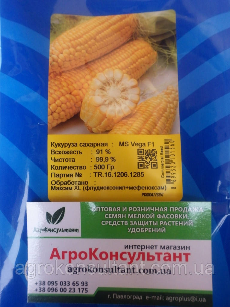 Насіння кукурудзи Вега F1 (May Seed), 500 грам — ультраранній (70-75 днів), суперсолодка, цукрова