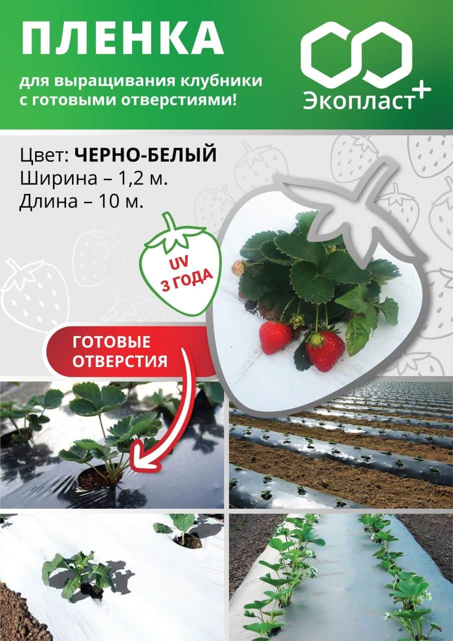 ЧОРНО-БІЛА плівка для полуниці 1,2х10 м