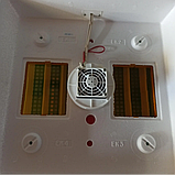 Домашній Інкубатор для яєць Квочка МІ 30-1Е-Р цифровий механічний переворот з вентилятором, фото 4