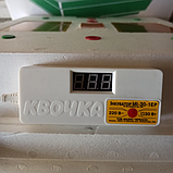 Домашній Інкубатор для яєць Квочка МІ 30-1Е-Р цифровий механічний переворот з вентилятором, фото 5