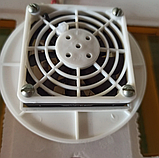 Домашній Інкубатор для яєць Квочка МІ 30-1Е-Р цифровий механічний переворот з вентилятором, фото 8