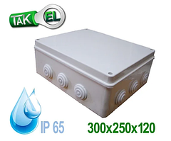 Коробка розподільна 300*250*120 IP55, зовнішня, монтажна пило-вологозахищена герметична, доза