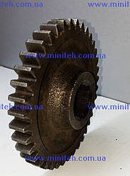 Шестерня Z = 38 (м/б 1090)