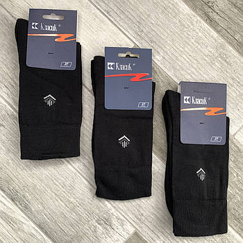 Шкарпетки чоловічі бавовна з махрової стопою Класик, Черкаси, арт. 9В-40, 29 розмір, чорні, 014509