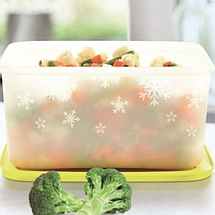 Охолоджуючий лоток Tupperware 2,5 л (Е22), фото 5