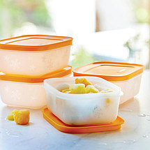 Набір охолоджуючих лотків для їжі Tupperware (4 х 450 мл) (Е08), фото 4