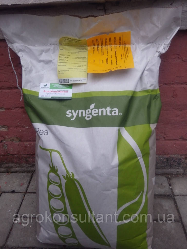 Насіння гороху Сомервуд (Syngenta) 100 000 насінин — середньостиглий (65 днів), овочевий, цукровий