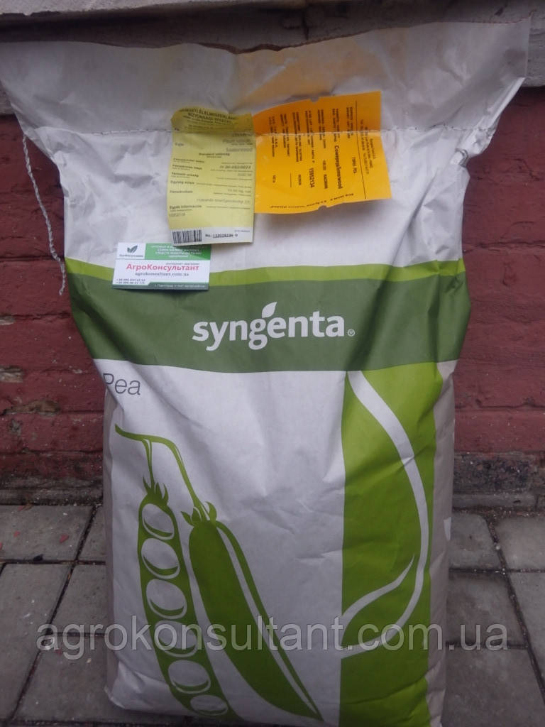 Семена гороха Сомервуд (Syngenta) 100 000 семян среднеспелый (65 дней), овощной, сахарный - фото 1 - id-p1326229517