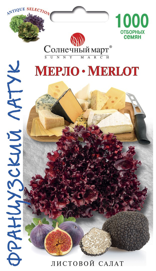 Насіння салата Мерло 1000шт ТМ СОЛНЕЧНЫЙ МАРТ
