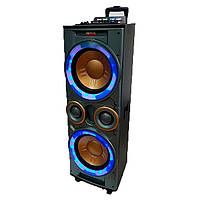 Колонка активна потужна 2х12 дюймів Rainberg 300W мережева /DJ пульт/ BT/ SD+USB+FM/ LED