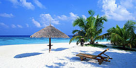 Тури в Індію у грудні