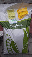 Насіння овочевого гороху Бінго/Bingo (Syngenta) 100000 насіння / 100 тис сем — пізній (80-85 днів), овочевий