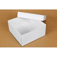 Подарункова коробка White 20х20х10 см