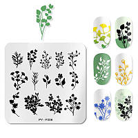 Пластина PICT YOU PY-F006