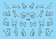 Слайдер дизайн COMBI — 060 — Кішки, Одна Лінія