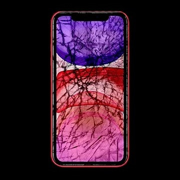 Заміна скла Apple iPhone 11