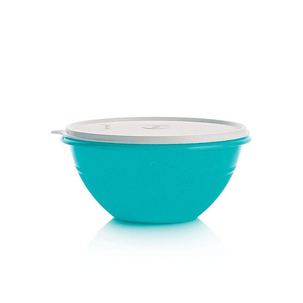Контейнер Чаша Tupperware Брауні з кришкою 1 л (РП058), фото 1