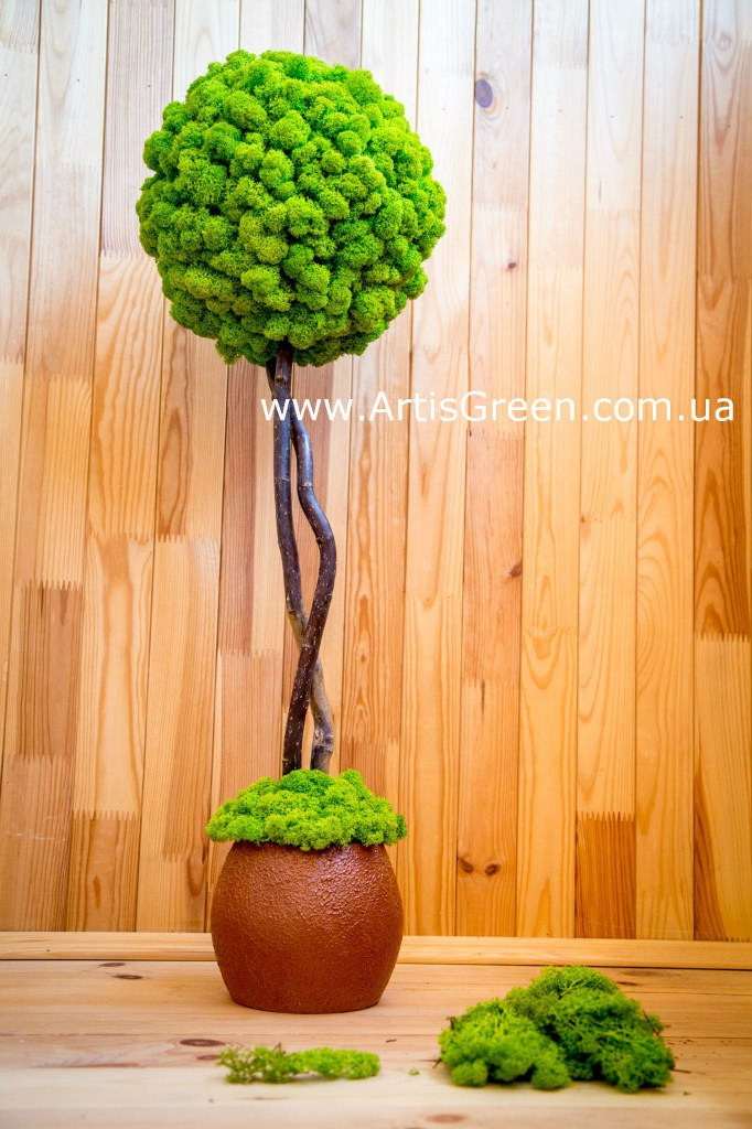 Дерево з моху, топіарій "Artis Tree - 50 см", T2, фото 1