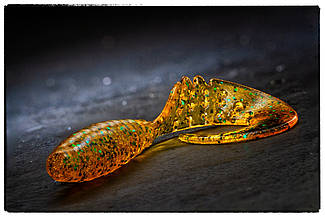 Силіконова приманка Fishup Fancy Grub 2.5" #036 Caramel/Green & Black
