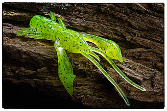 Силіконова приманка Fishup Real Craw 1.5" #055 Chartreuse/Black