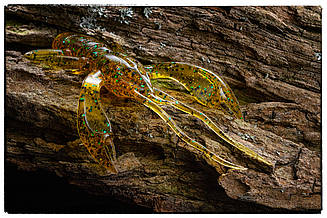 Силіконова приманка Fishup Real Craw 2 #036 Caramel/Green & Black