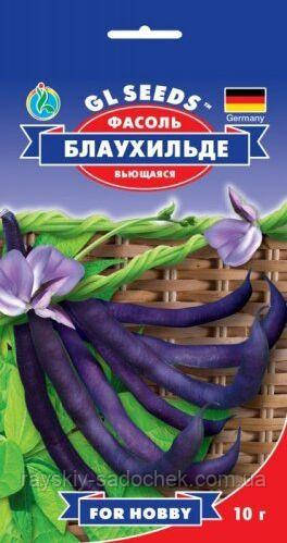 Насіння Квасолі спаржевої Блаухильде 10г Німеччина.(середньоранній)