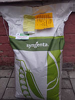 Насіння гороху Сомервуд / Somerwood (Syngenta), 1 кг НА ВАГУ!  — середньостиглий (65 днів), овочевий, цукровий
