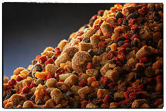 Стiк мікс для ПВА-стiків Carp Catchers "YESS"