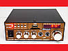 Підсилювач звуку BM AUDIO BM-606BT FM USB Блютуз + Караоке, фото 2