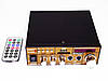 Підсилювач звуку BM AUDIO BM-606BT FM USB Блютуз + Караоке, фото 4